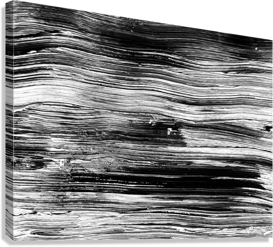 V1310 Canvas Print