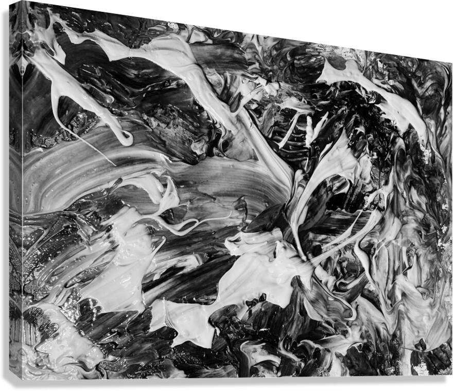 V1313 Canvas Print