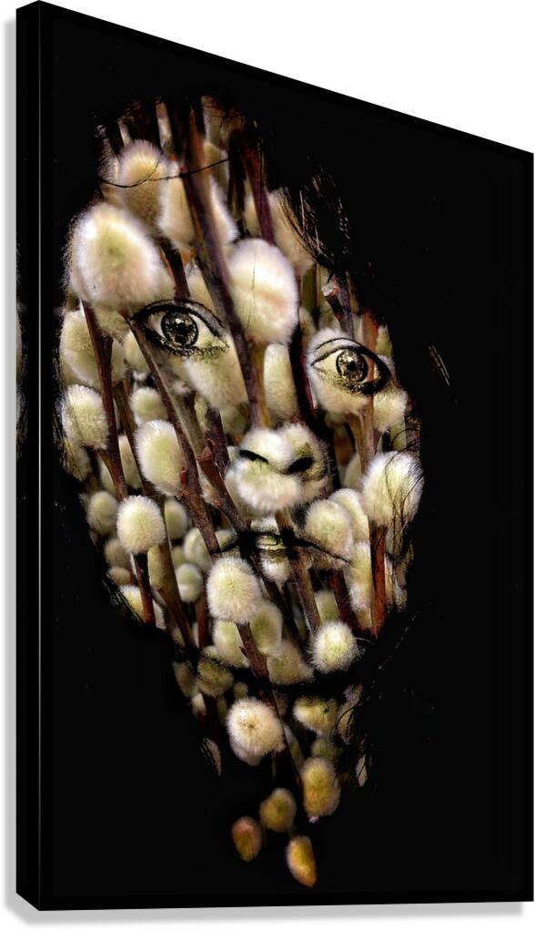 V1317 Canvas Print