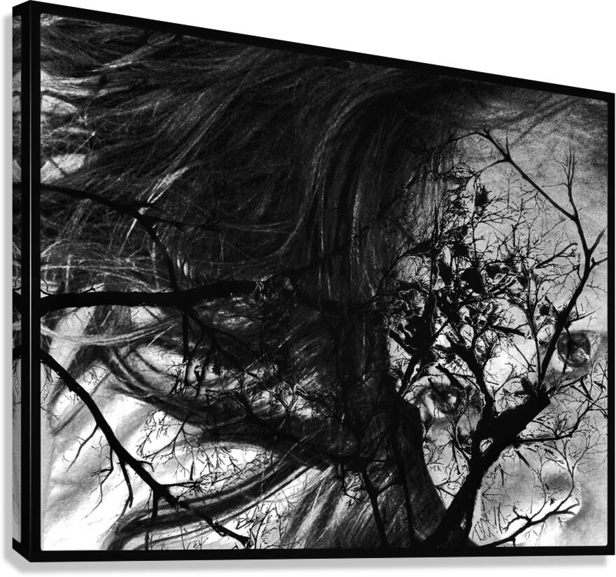 V1318 Canvas Print