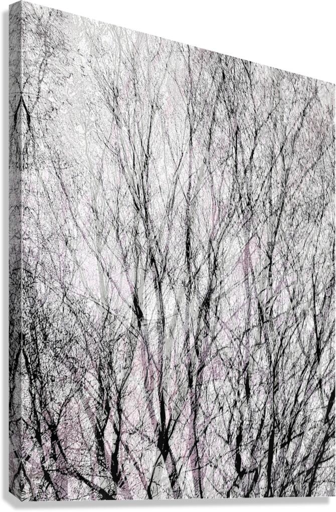 V1319 Canvas Print