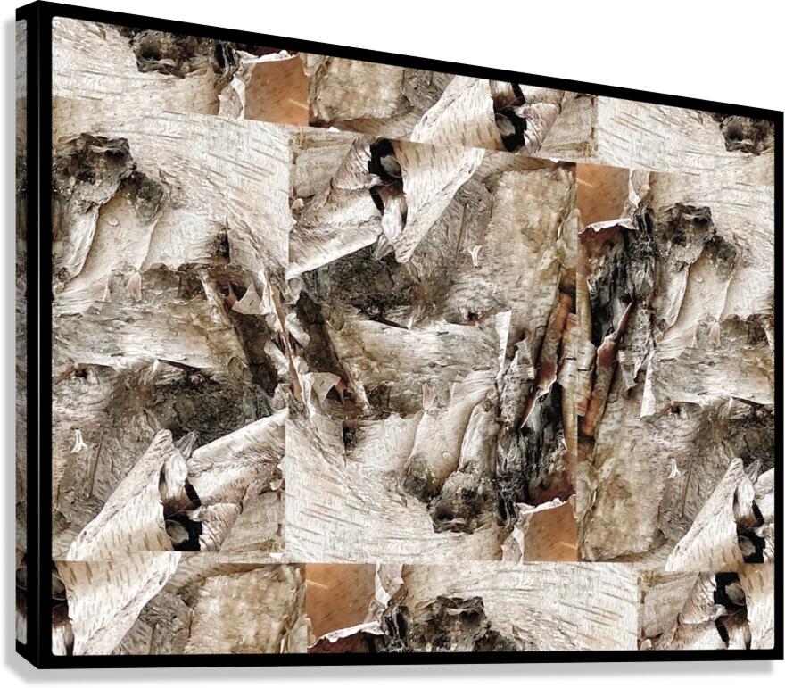 V1325 Canvas Print