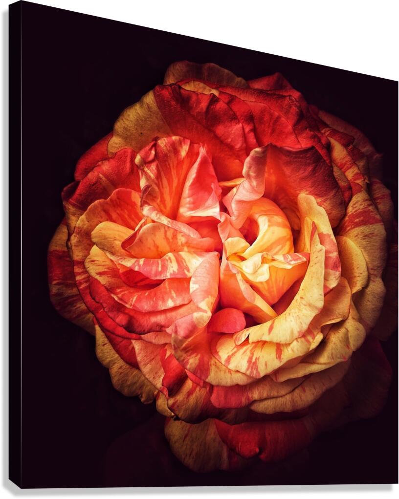 V1327 Canvas Print