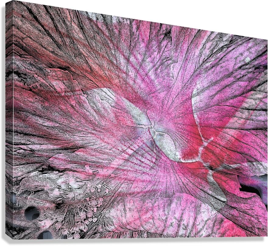 V1329 Canvas Print