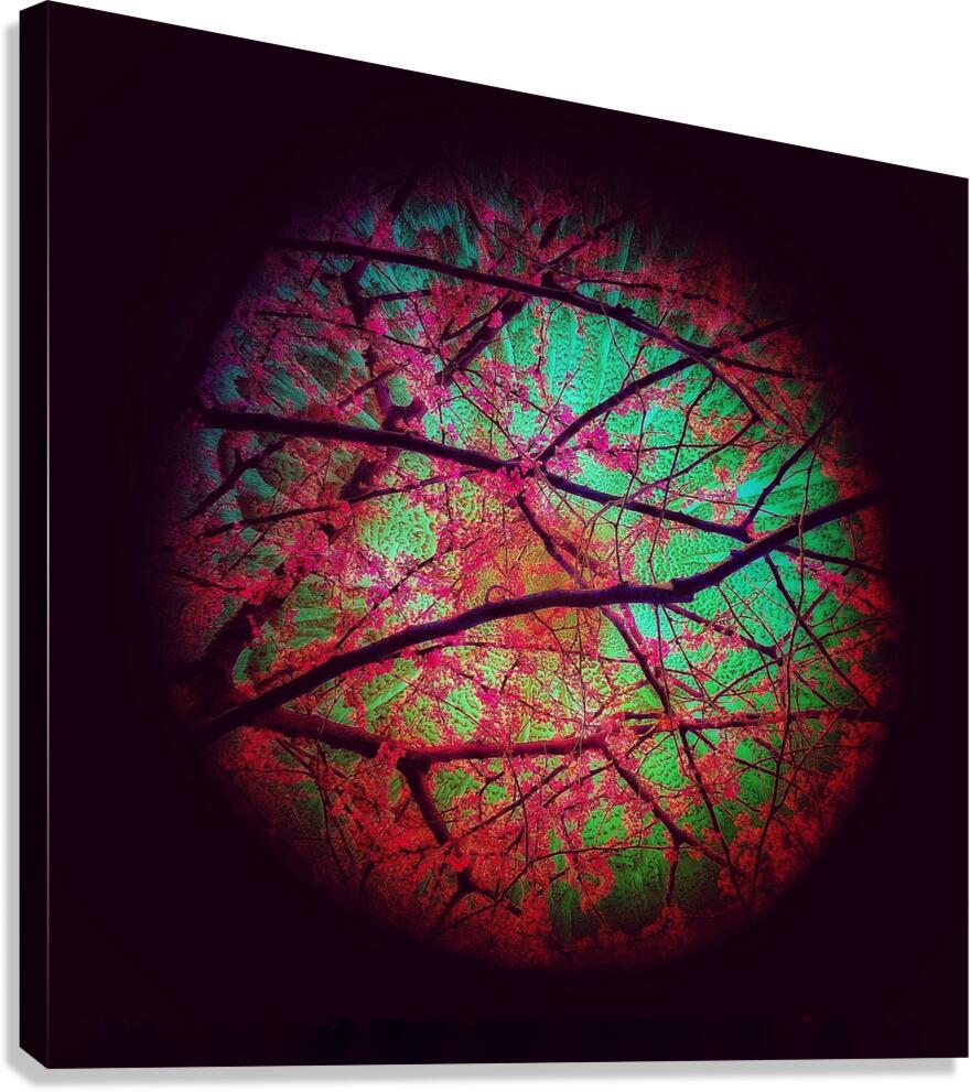 V1330 Canvas Print