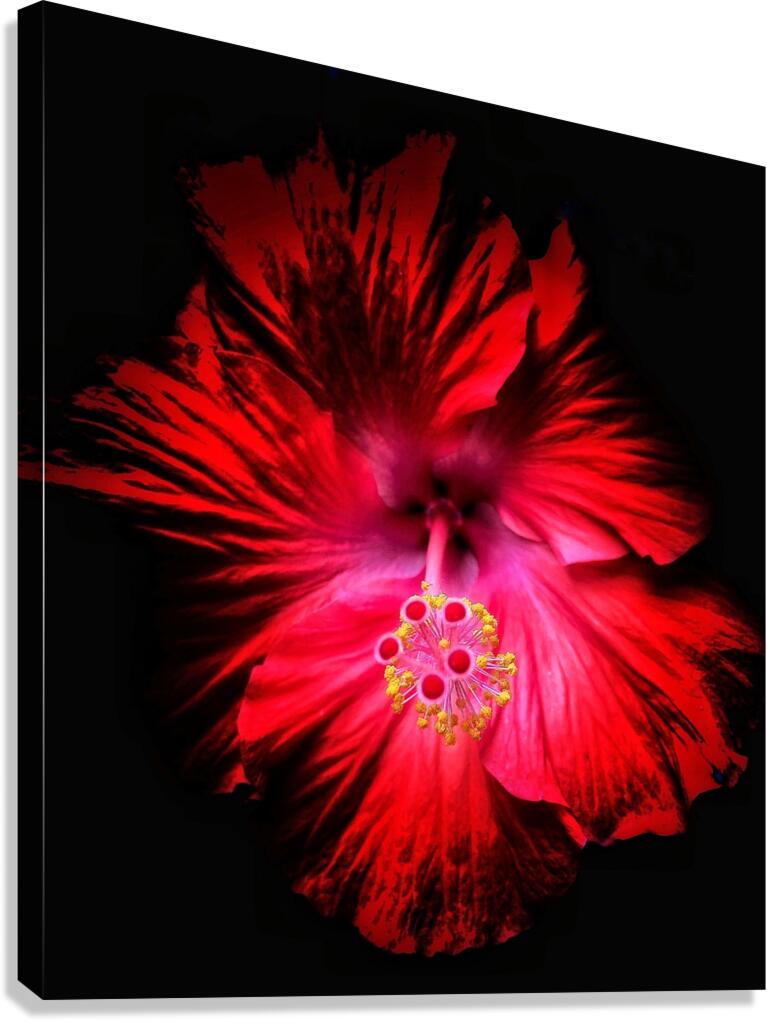V1332 Canvas Print