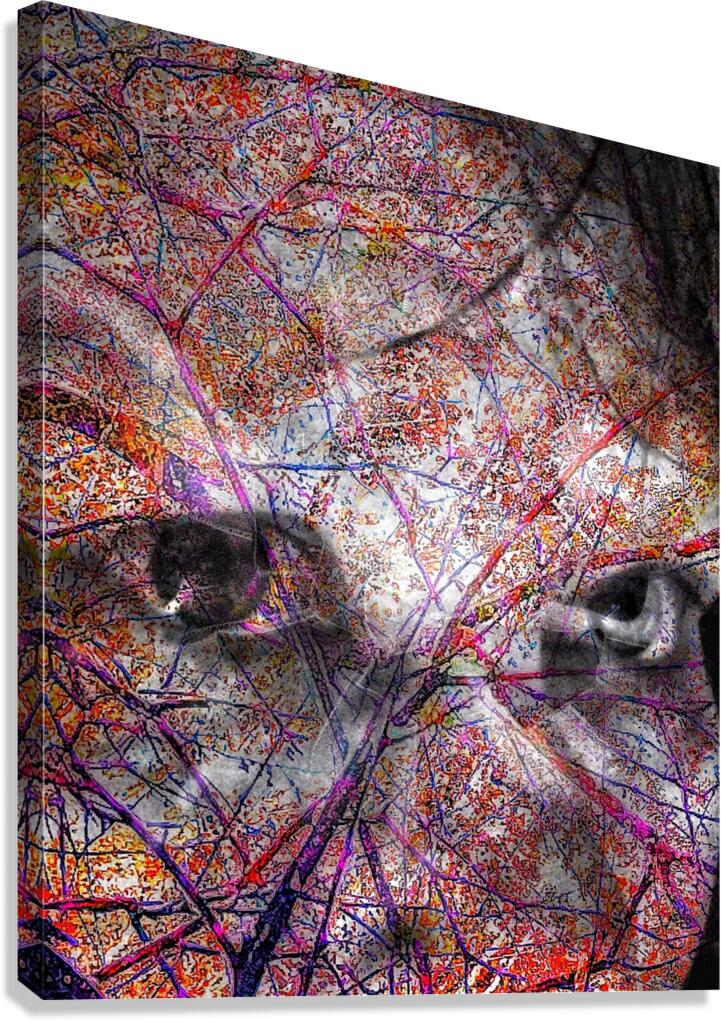 V1335 Canvas Print