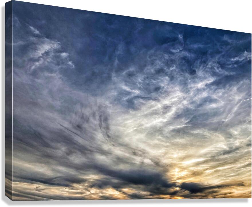 V1337 Canvas Print