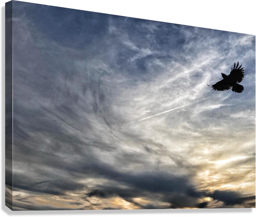 V1338 Canvas Print