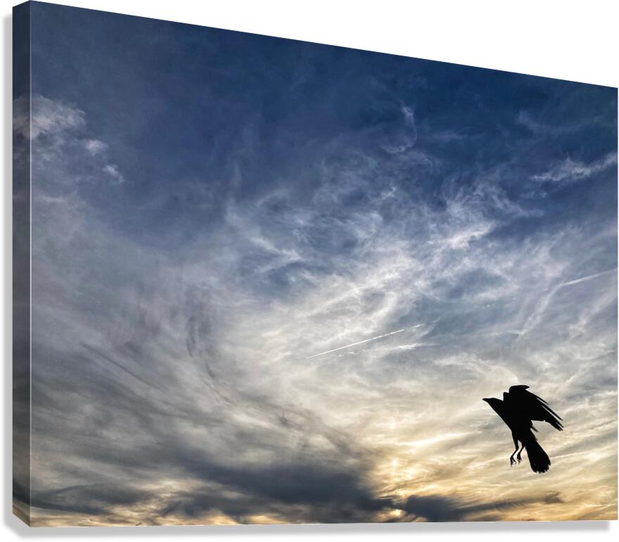 V1339 Canvas Print