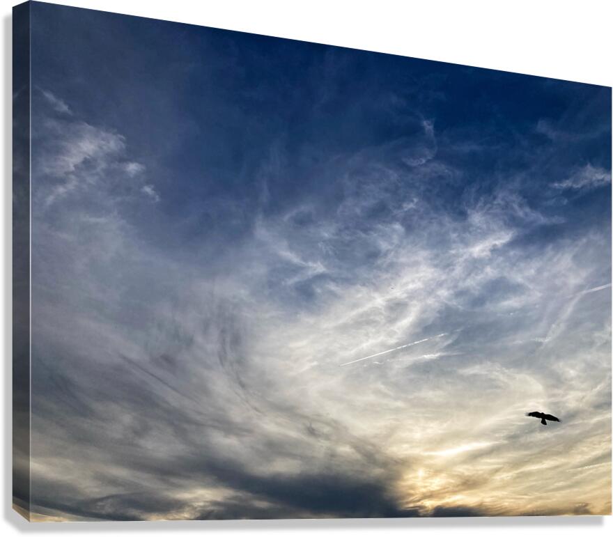 V1340 Canvas Print