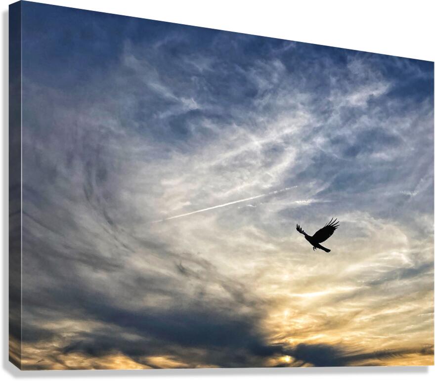 V1341 Canvas Print