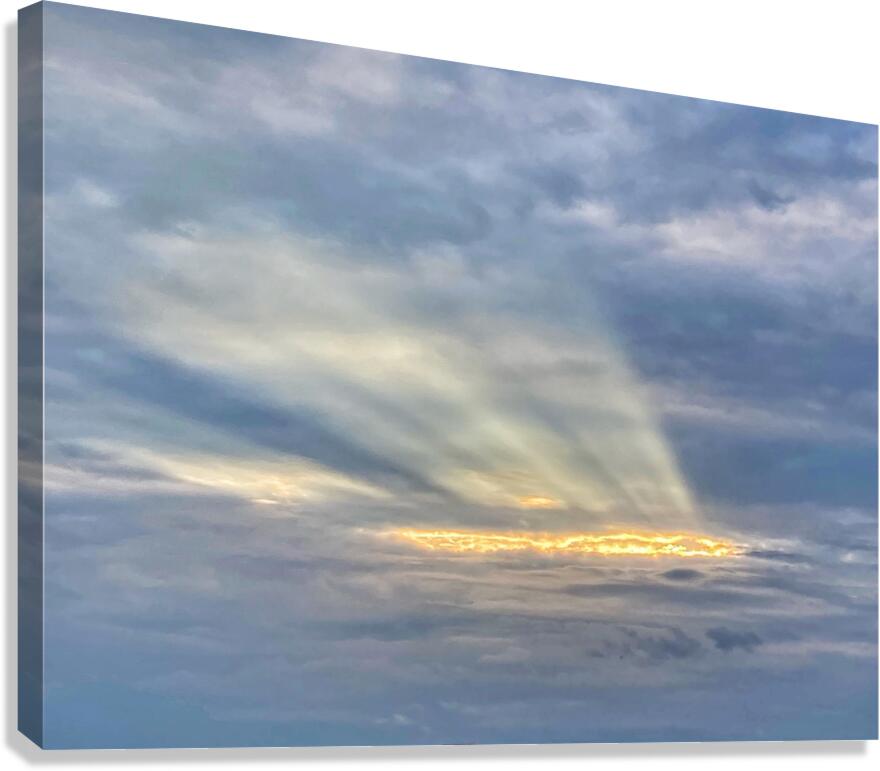 V1343 Canvas Print