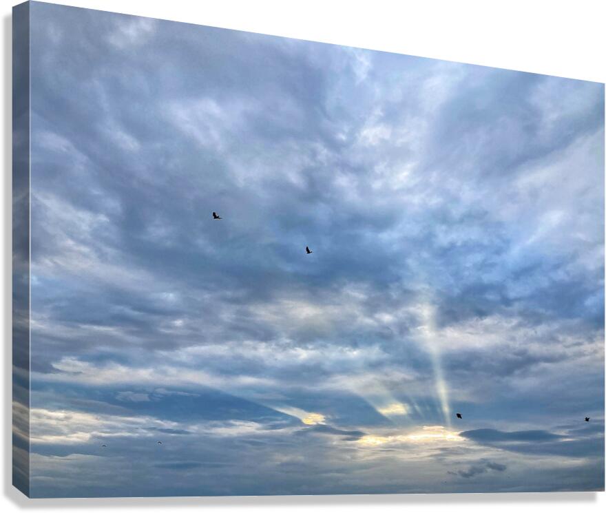 V1344 Canvas Print