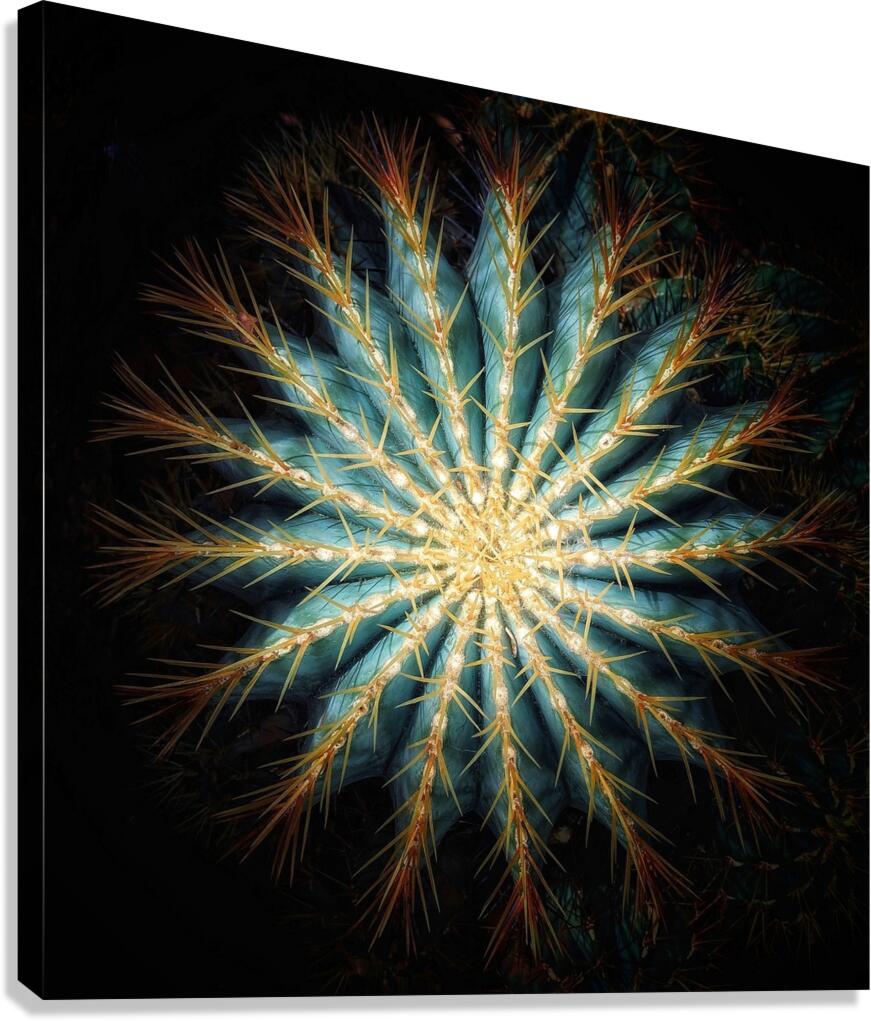 V1356 Canvas Print