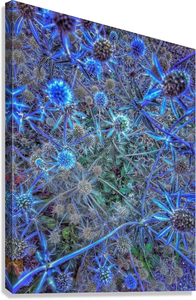 V1360 Canvas Print