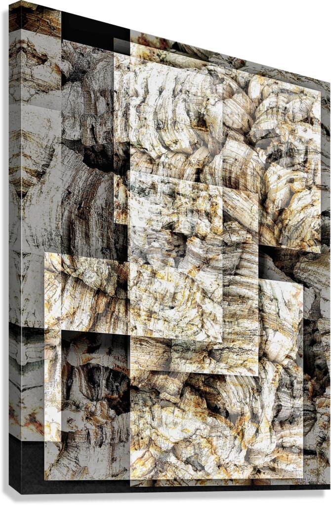 V1361 Canvas Print