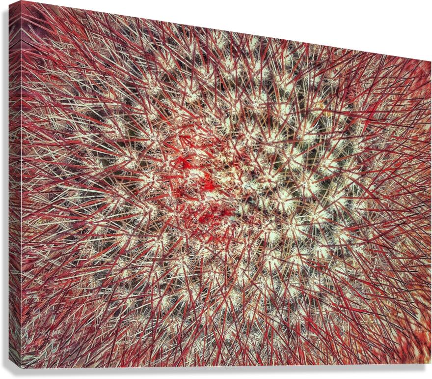 V1362 Canvas Print