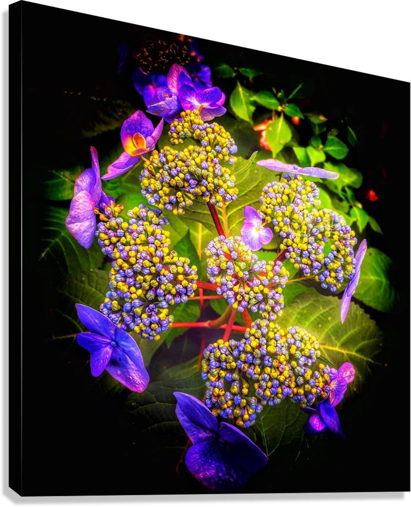 V1363 Canvas Print