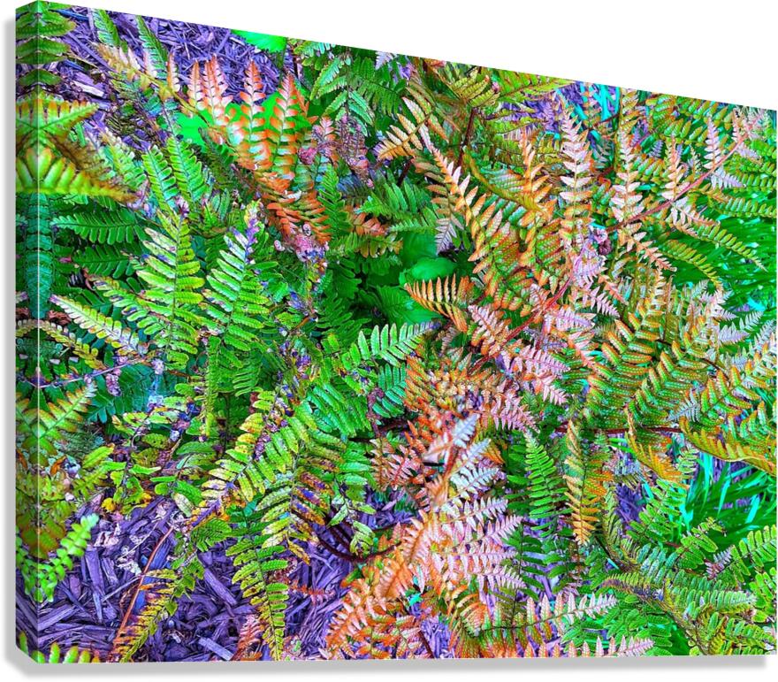 F1365 Canvas Print