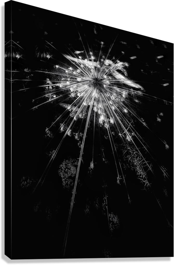 V1366 Canvas Print
