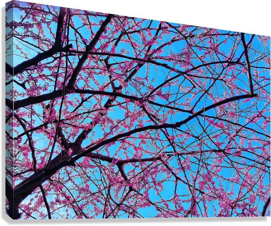 V1368 Canvas Print
