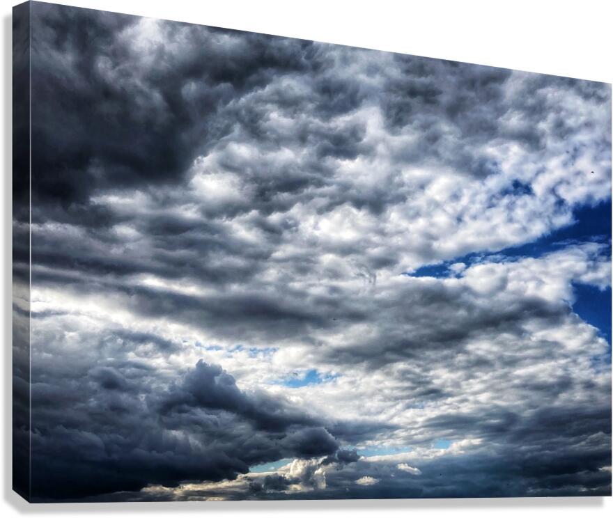 V1369 Canvas Print