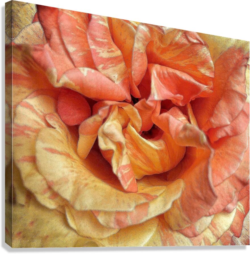 V1371 Canvas Print