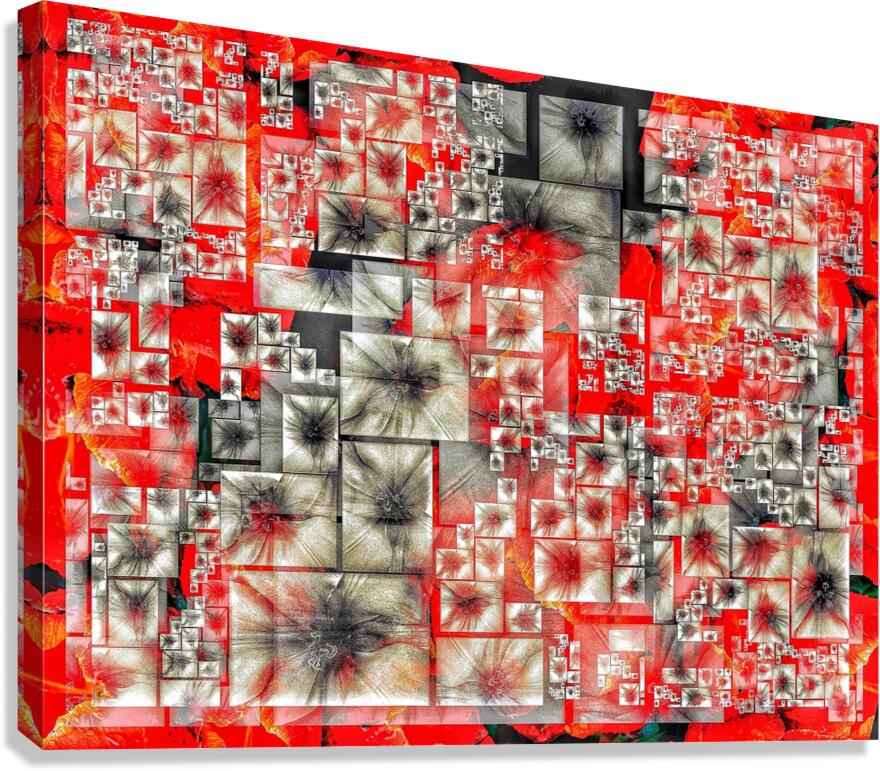 V1377 Canvas Print