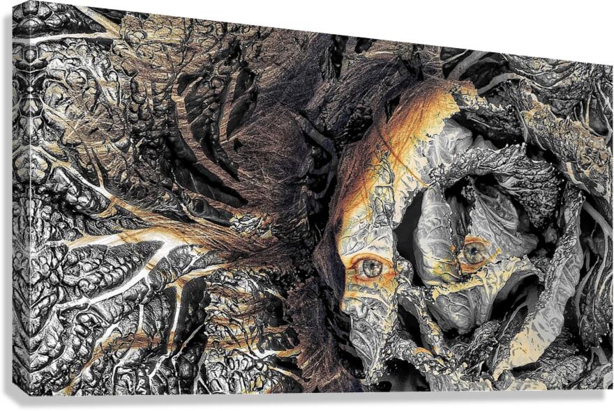 V1378 Canvas Print