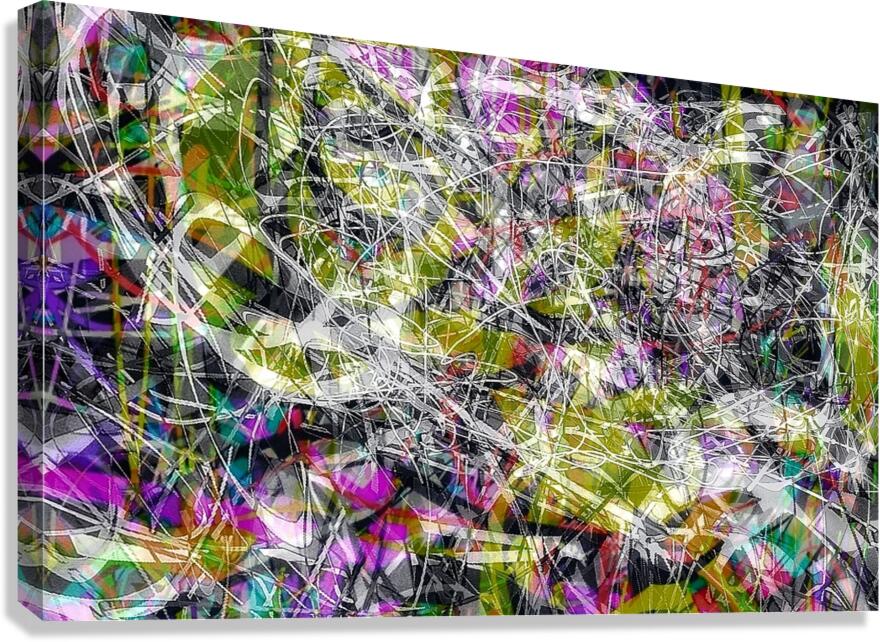 V1381 Canvas Print