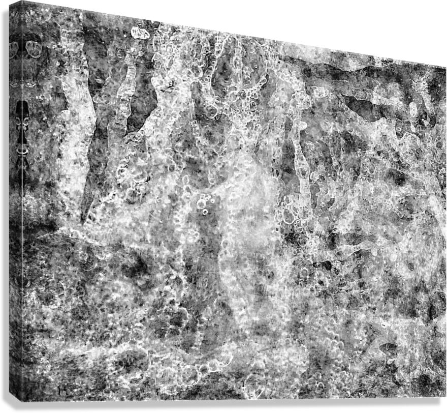 V1382 Canvas Print