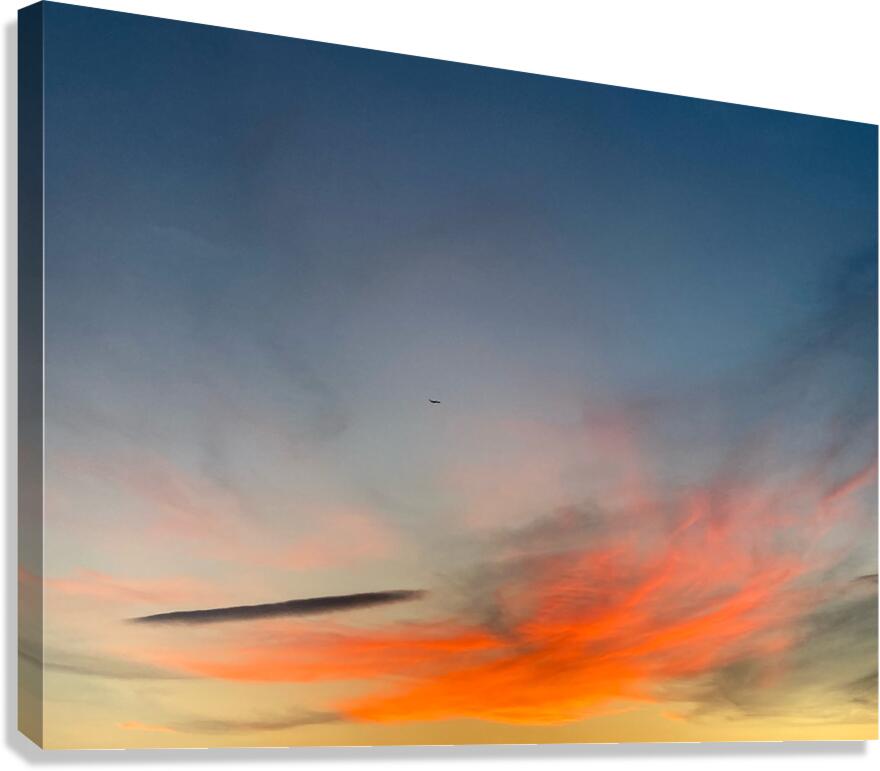 V1383 Canvas Print