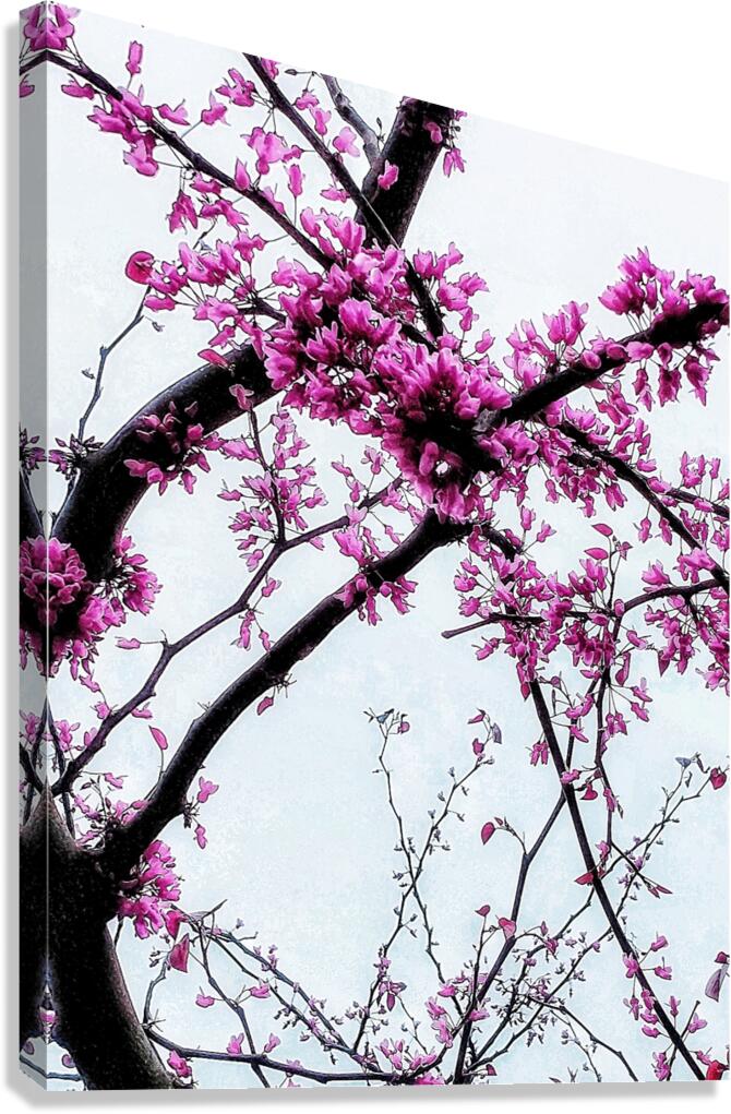 V1385 Canvas Print