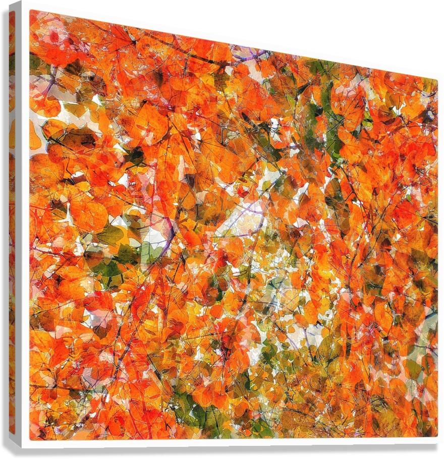 V1387 Canvas Print