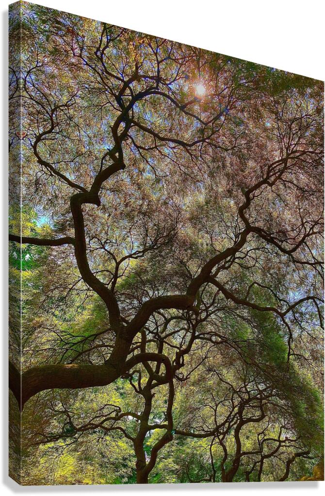 V1395 Canvas Print