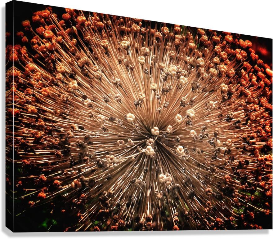 V1402 Canvas Print