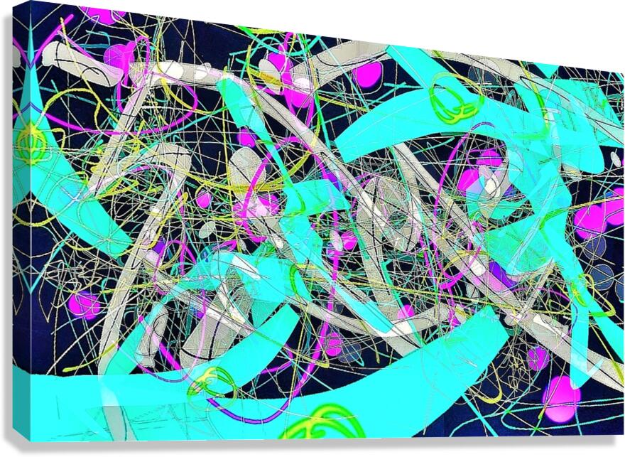 V1410 Canvas Print
