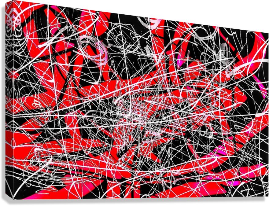 V1418 Canvas Print