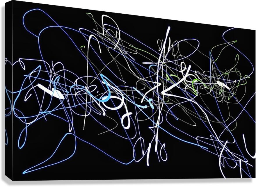 V1423 Canvas Print