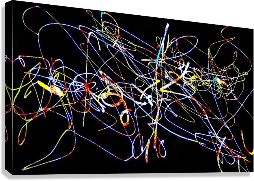 V1432 Canvas Print