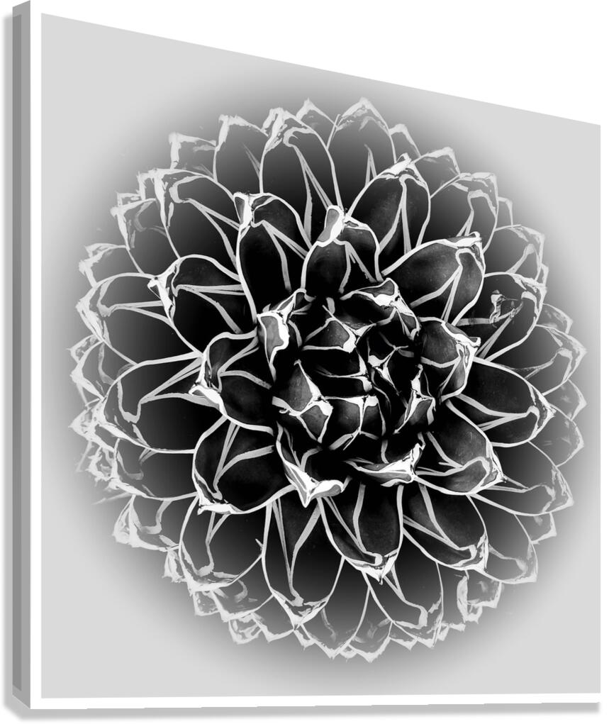 V1438 Canvas Print