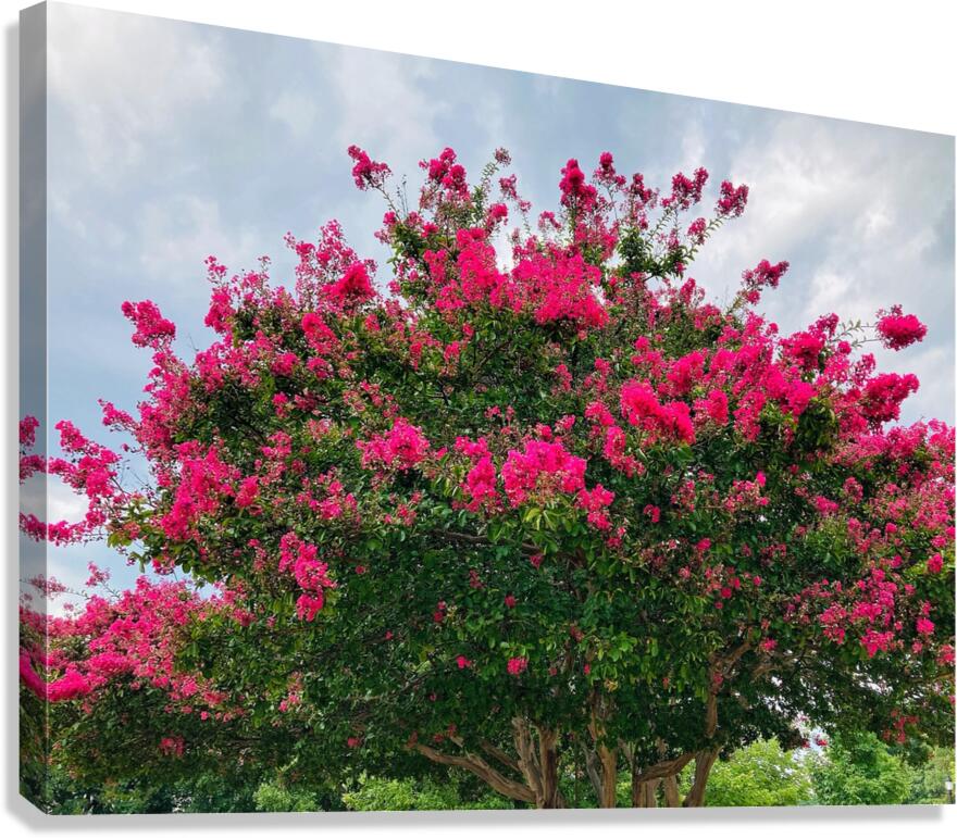 V1439 Canvas Print