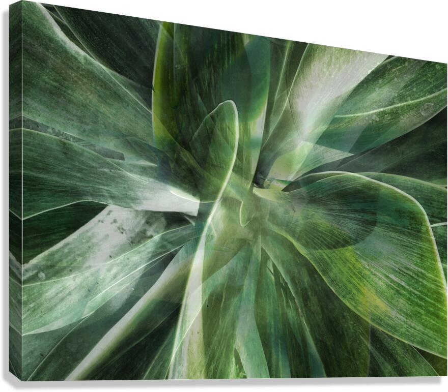 V1454 Canvas Print