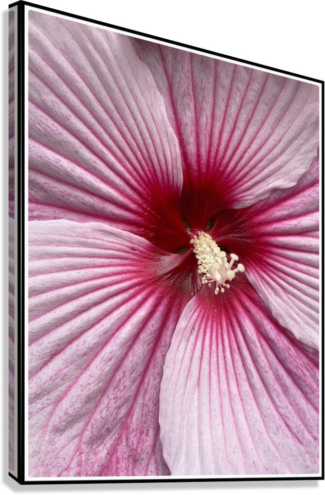 V1456 Canvas Print