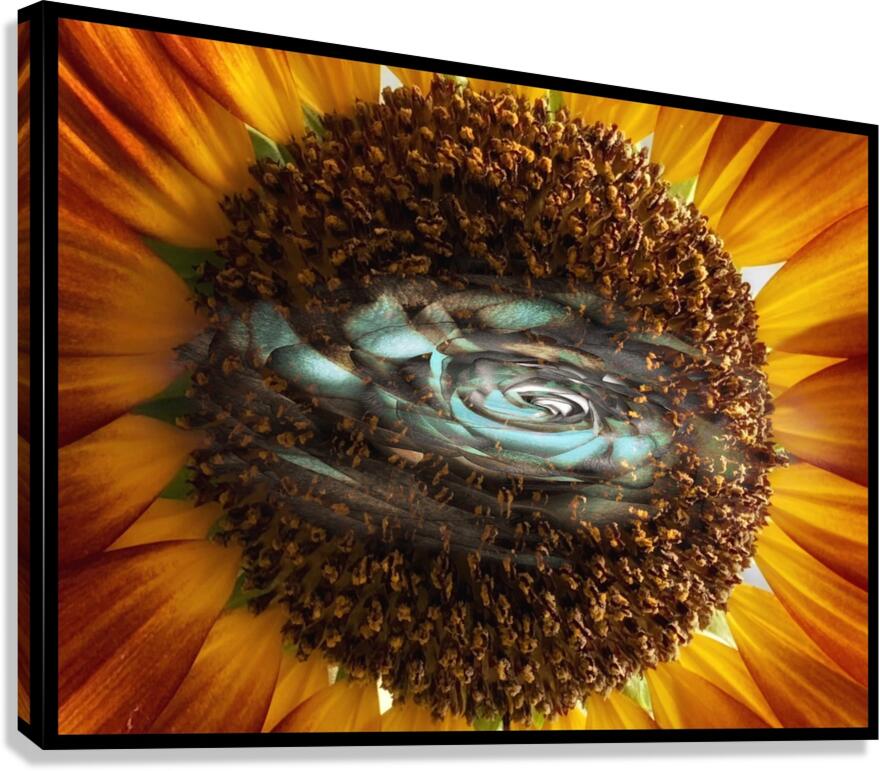 V1457 Canvas Print