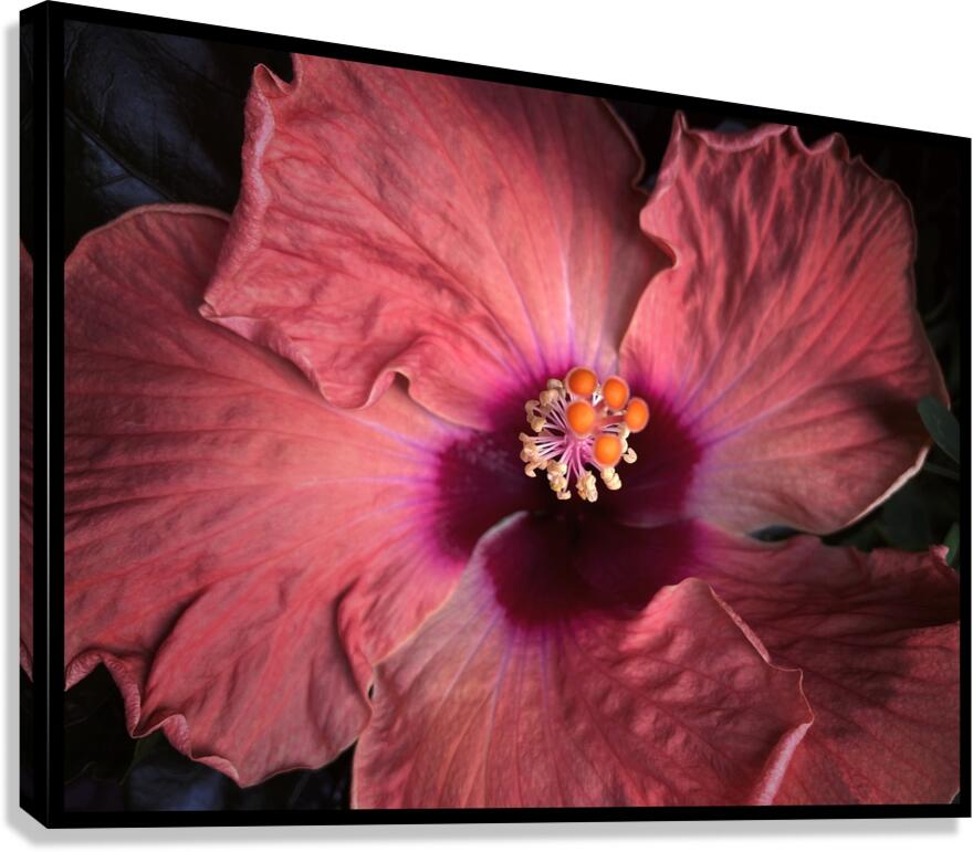 V1459 Canvas Print