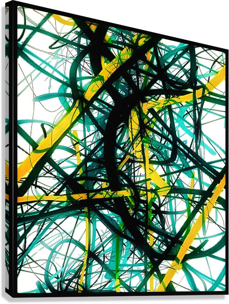 V1469 Canvas Print