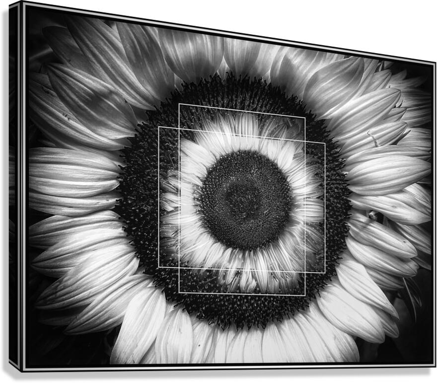 V1474 Canvas Print