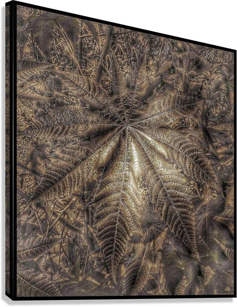 V1475 Canvas Print